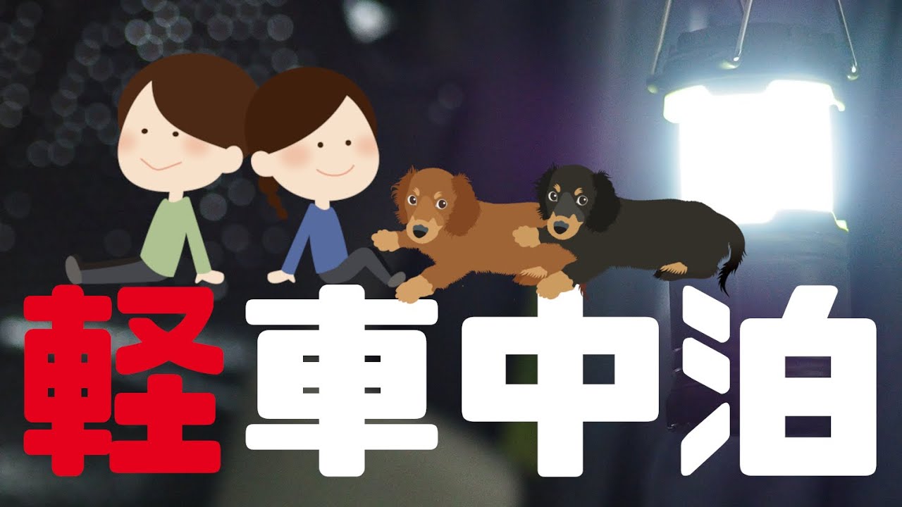 軽車中泊 Nboxプラス 夫婦二人とわんこ2匹 愛犬と一緒の軽自動車車中泊 簡易マットで快適に眠れる 車種はnbox 車外から覗かれないようカーテンの取り付け 就寝 翌朝 エヌボックスプラス Youtube