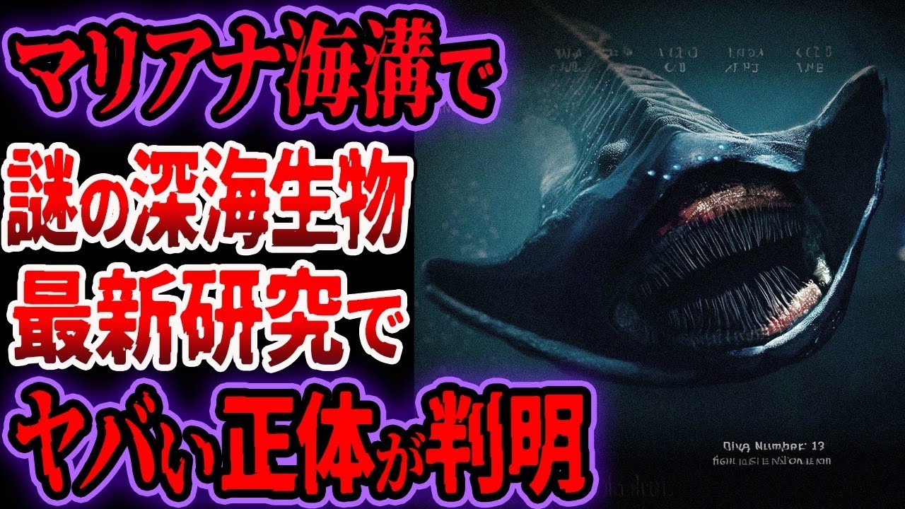 【総集編】マリアナ海溝で発見された不気味すぎる生物たち…深海生物がヤバい【ゆっくり解説】