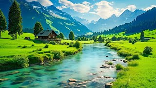 Healing Piano ,Piano Relaxing For Stress Relief And Inner Peace ,Sleep Deeply /Relaxing Music