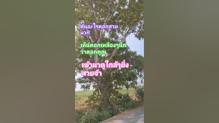 ผ่านมาเจอต้นอะไรดอกสวยๆนึกว่าดอกคูณ  #สนุกขำ  #ลิปซิ้ง #ฝากกดติดตามด้วยนะคะ