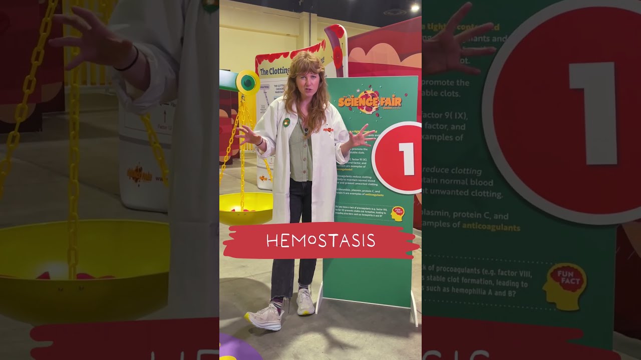What Is Hemostasis 