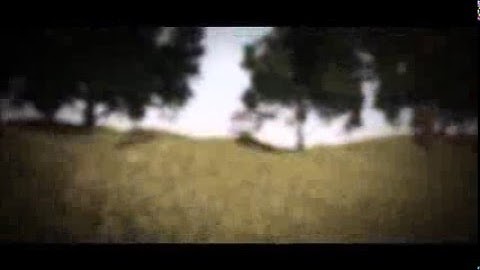 Synergy- By Reality [Nature] @SoaRWZPA [35 likes]?