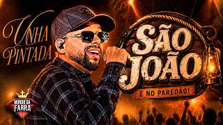 UNHA PINTADA SÃO JOÃO 2026 - REPERTÓRIO NOVO - MÚSICAS NOVAS - UNHA PINTADA ATUALIZADO
