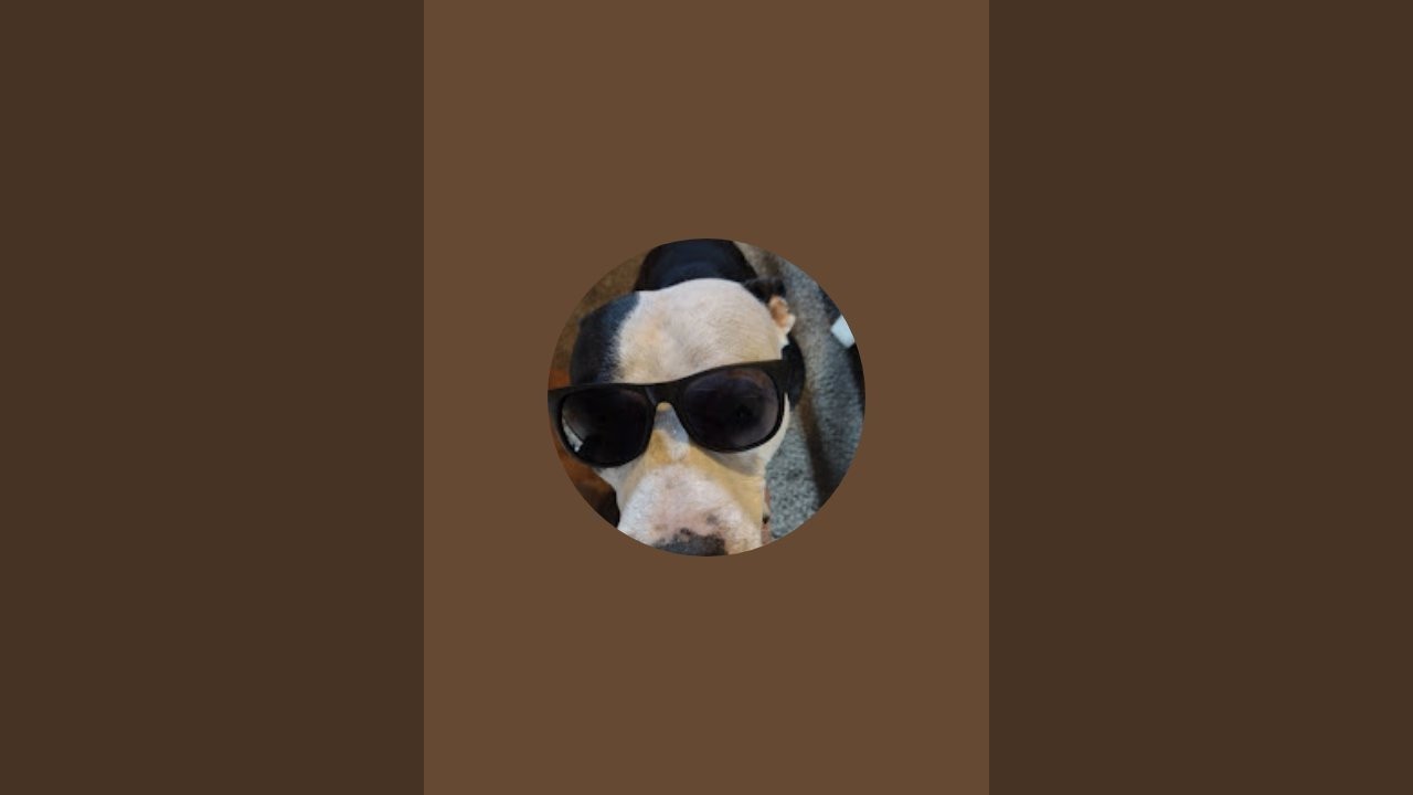 frank skutt is live!