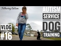 Service Dog Training | Fathering Autism Vlog #16 | Autism Family