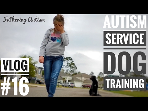 service-dog-training-|-fathering-autism-vlog-#16-|-autism-family