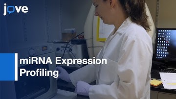 Tissue-specific miRNA Expression Profiling by ISH | Protocol Preview