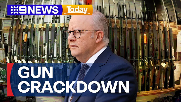 Push for tougher gun laws after Bondi terror attack | 9 News Australia