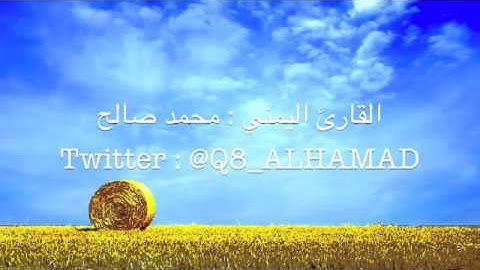 القارئ محمد صالح اليمني - مريم