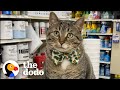 Jeder Hat Diesen Einen Kollegen Der Verrückte Dodo Katzen