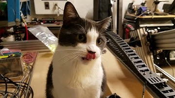 WorkBee CNC Router: Z-Axis Limit Switch Installation