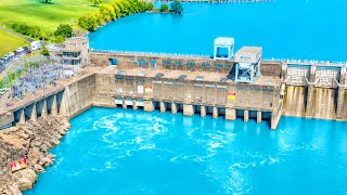 This TENNESSEE DAM is FULL OF POWERFUL FISH!!!