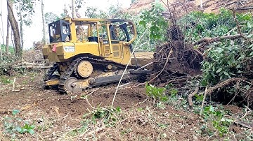 Amazing!! Skilled Dozer Operator Breaks Down Big Trees Easily
