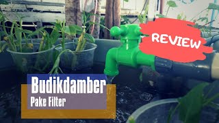 Budikdamber dengan sistem filter | air tidak bau | Budidaya Ikan Lele