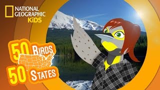 Oregon - Feat. Rapper MC Carrie the Western Meadowlark | 50 Birds, 50 States