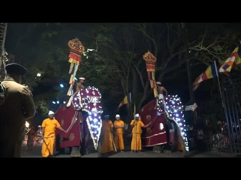 Vídeo: Dibuixos a llapis difícils: retrats de dones de Raiazenna