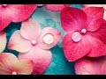 6 Hour Relaxing Spa Music: Massage Music, Calming Music, Meditation Music, Relaxation Music, ☯2588