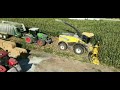 मक्का हरा चारा से ऐसे करके बेहतरीन साइलेज बनाए Make best quality silage from maize green fodder.