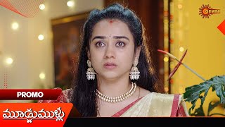 Moodu Mullu- Promo 22 Nov 2025 Telugu Serial Gemini Tv