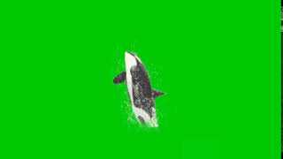 Whale (Green Screen) Effect