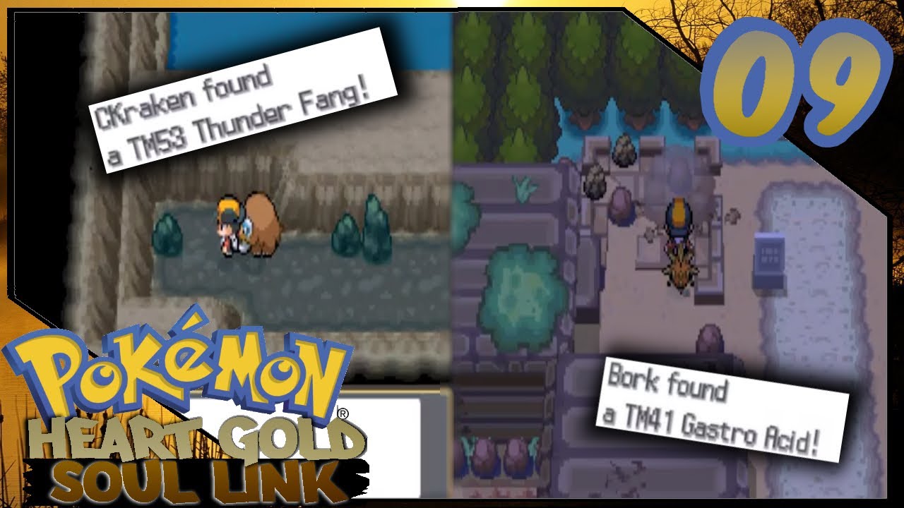 Heart Gold and Soul Silver: (hidden) items, TMs, HMs and other (nuzlock)  stuff - heartgold post - Imgur