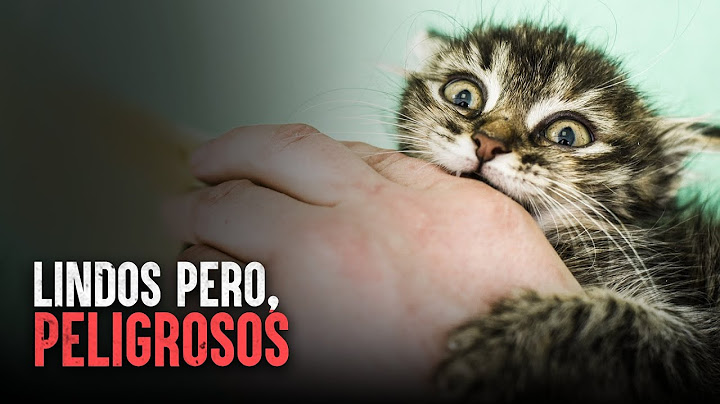 Cómo Sobrevivir una mordedura de gato