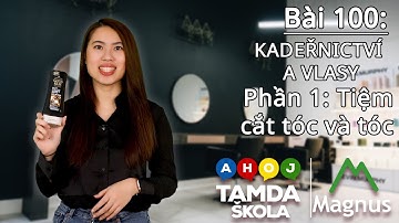HỌC TIẾNG SÉC – Bài 100: Phần 2 Kadeřnictví a vlasy  - làm tóc và tóc
