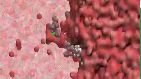 Liquid-Liquid Phase-Transfer Catalysis