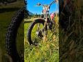 Trial world #trs #trial #motorcycle #trail #fun #joy #adventure #77c