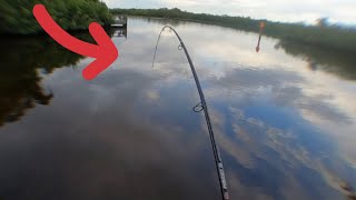 FISHING PUNTA GORDA FROM SHORE - MULTIPLE SPECIES CAUGHT