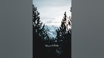 تدبر الآيات لا الصوت | سورة الأعراف