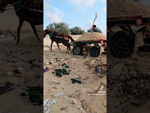 احنا بزمن الوحوش