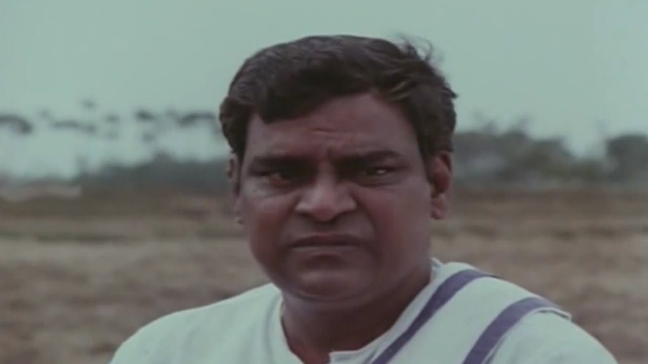 Jayammu Nischayammura || Bramhanandam Become Reverse on Kota Srinivas Rao Hilarious Comedy Scene