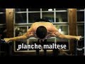 Planche Maltese MOTIVATION - BEST OF 2017