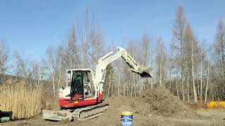 takeuchi tb260 2022 Vs Bob Cat E60
