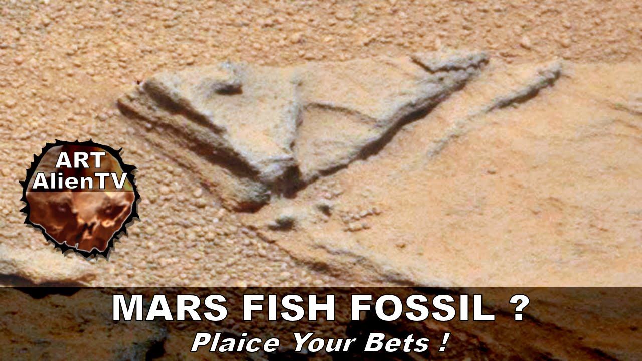 rovera MARS FISH FOSSIL ? PLAICE YOUR BETS ! ArtAlienTV - 720p60