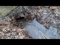 Clearing a drainage Culvert