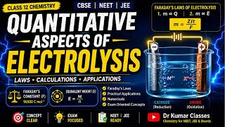 Quantitative Aspects of Electrolysis | Faraday's Laws | Class 12 Chemistry | CBSE | NEET | JEE