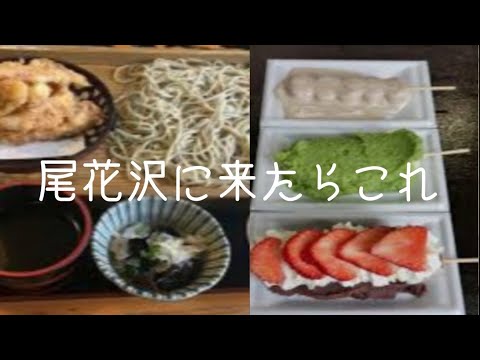 【本当に旨い店】山形の旨い蕎麦屋と団子🌟🌟🌟厳選　尾花沢市そば処 明友庵　大石田町最上川千本だんご　40代独身一人旅