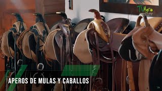 Los aperos de mulas y caballos  TvAgro por Juan Gonzalo Angel Restrepo