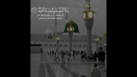 سورة الكافرون بصوت الشيخ سعد الغامدي حالات واتس اب  قرآن كريم 🌿💙