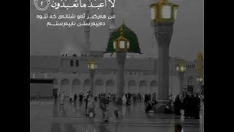 سورة الكافرون بصوت الشيخ سعد الغامدي حالات واتس اب  قرآن كريم 🌿💙