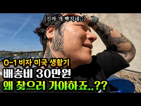 배송비 315,900원 하지만 택배는 어디에??? [요시의 미국 생활기  EP.11]