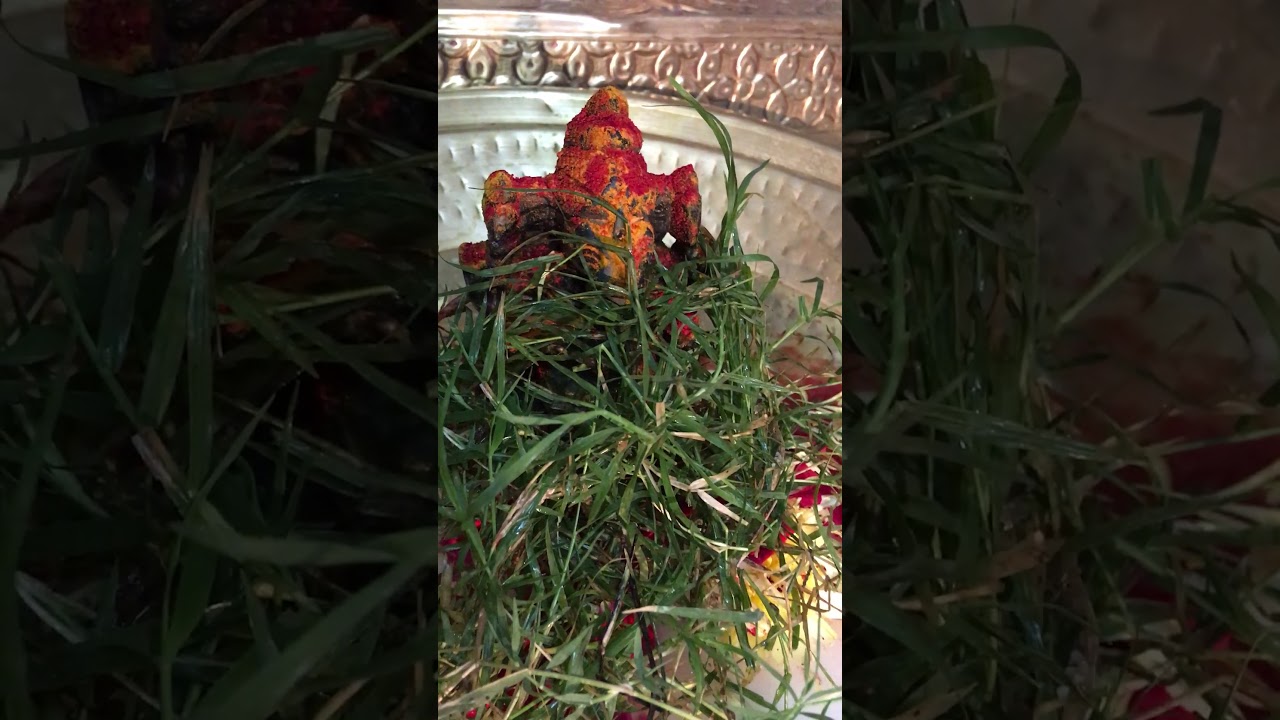 Ganapathi abhishekam అఖండ లక్ష్మీప్రదమైన  వినాయక స్వామివారి అభిషేకం