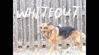 Whiteout - The3Dogss (Official Music Video)