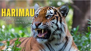 Harimau: Kisah Sang Raja Hutan yang Terancam Punah