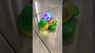 Mainan Anak Kura-Kura Berjalan