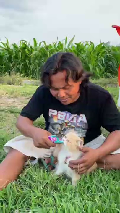 Story Layangan Atau Story WA Layangan Lele Besar Epic #mamayo #ceritamamayo #storyWa