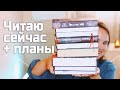 Читаю СЕЙЧАС и ругаю книги | Книжные ПЛАНЫ на осень