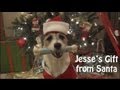 Santa Paws Jesse's Christmas Webisode: Santa's Gift